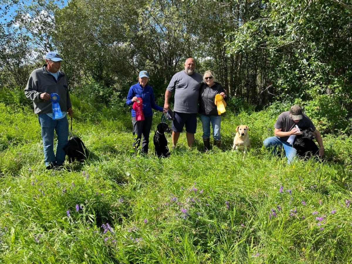 Five handlers and their retrievers standing in tall summer grass holding blue, pink and yellow ribbons