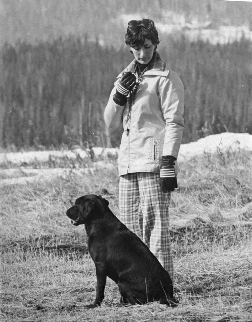 A handler in a white jacket and plaid trousers standing at the line with a black Labrador sitting steady beside her, spruce forest behind